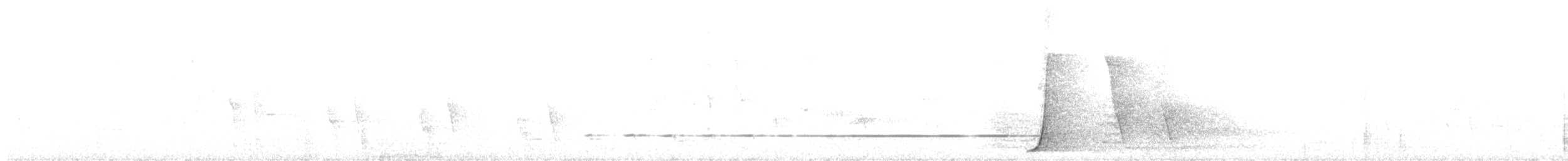 Psophode à tête noire - ML261776901