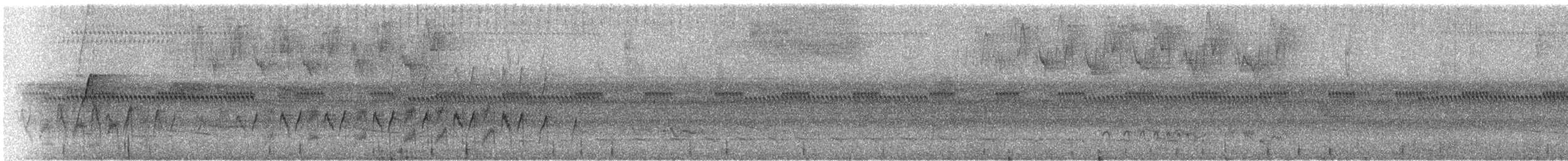 Тиран-крихітка темноголовий - ML261869101