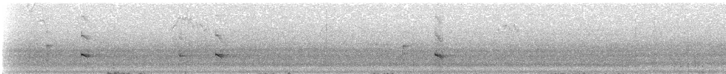 Bänderspecht - ML261880491