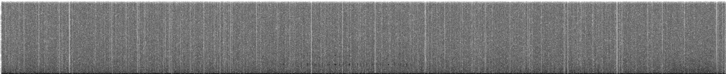 Magellanic Oystercatcher - ML261893461