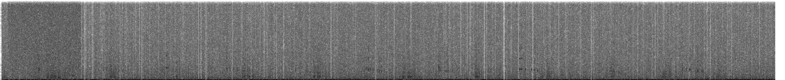 husice magellanská - ML261897431