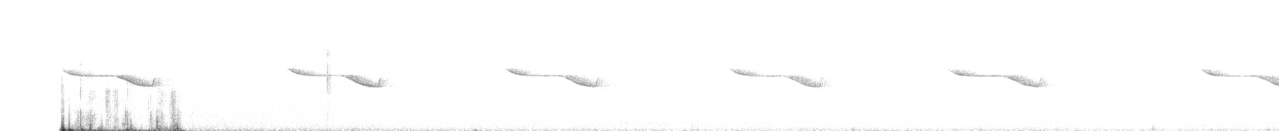 Breitspiegel-Nachtschwalbe - ML261902351