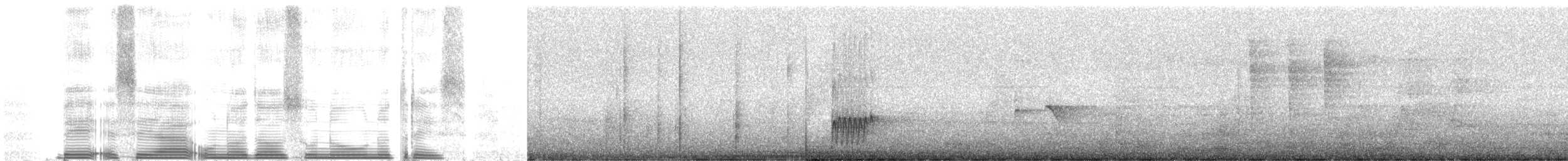 Roststirn-Mückenfresser - ML261909