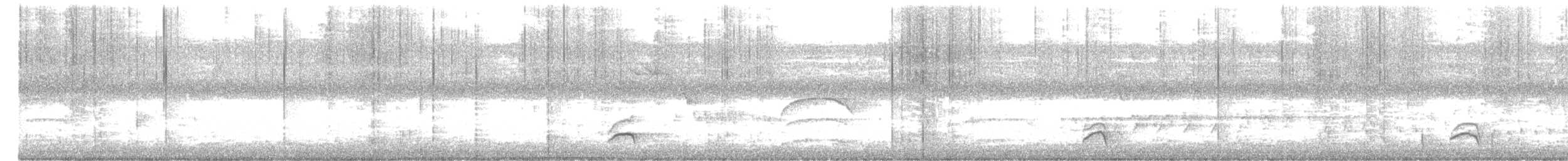 White-necked Thrush - ML261921681