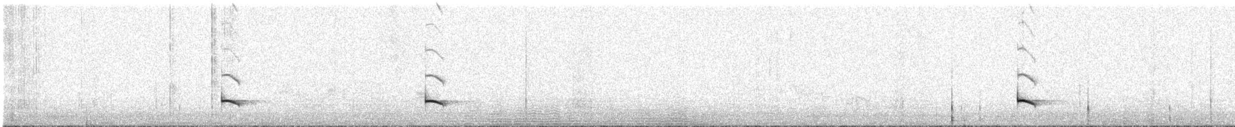Оброзник північний (підвид torquata/rufescens) - ML261923651