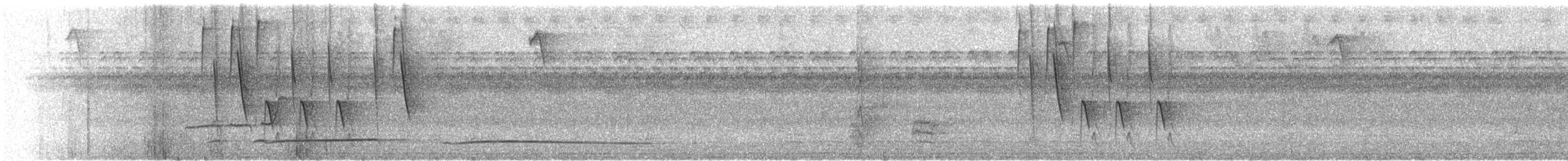 Лінивка-смугохвіст західна - ML261925161