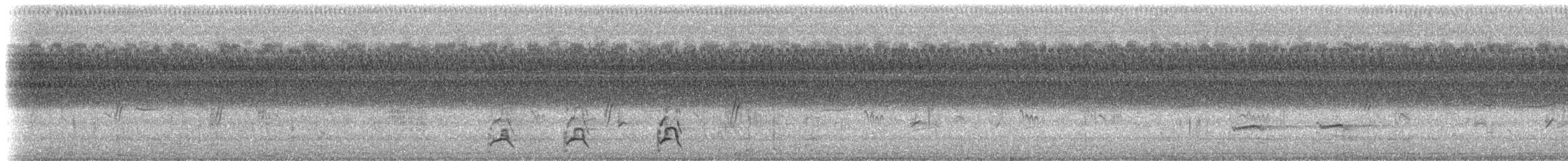 orel bělohlavý - ML261938501