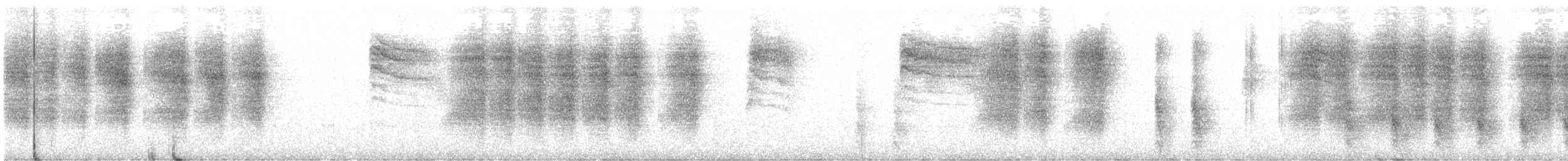 Поплітник каролінський - ML261944501