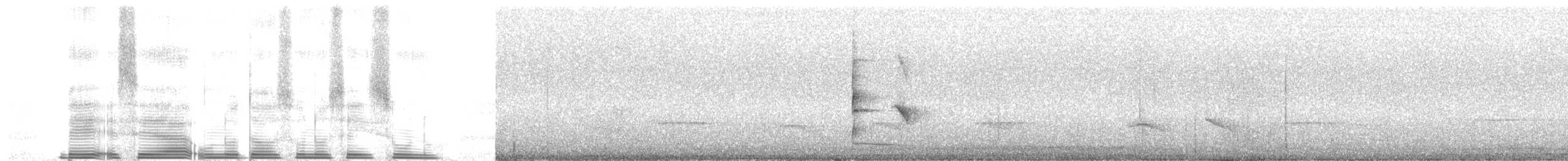 Манакінчик західний [група striolatus] - ML261957