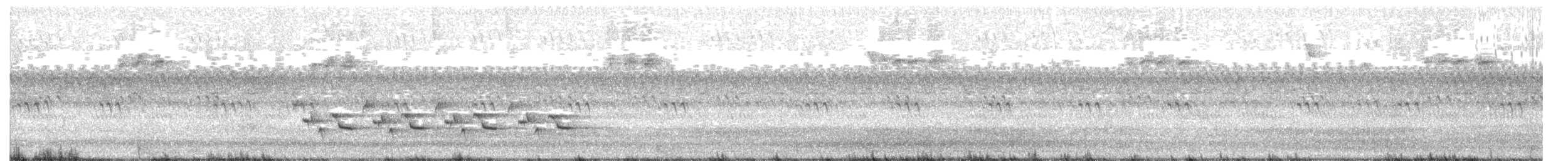 Karolina Çıtkuşu - ML262035861