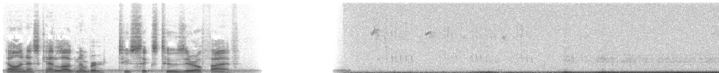 Yakut Boğazlı Kolibri - ML26205