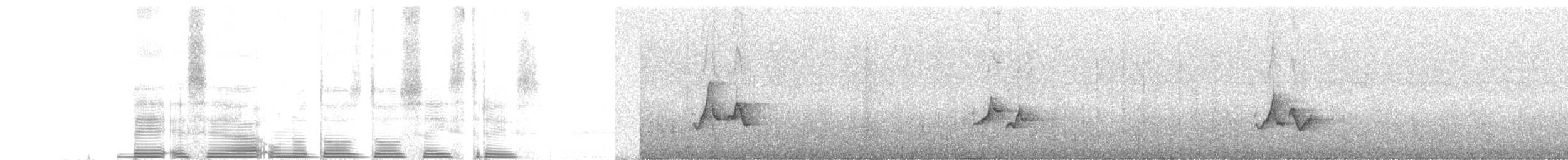 Пестрогрудый тираннчик - ML262059
