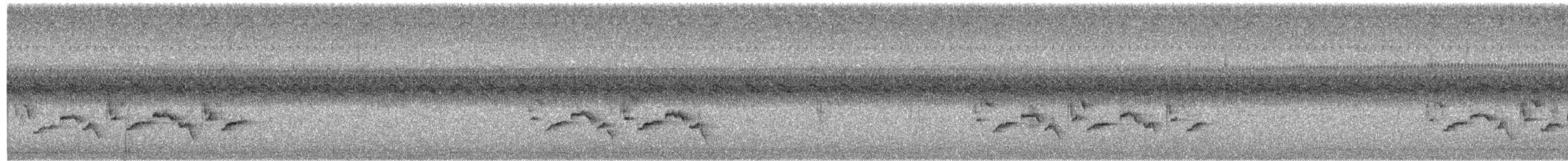 Поплітник каролінський - ML262078261