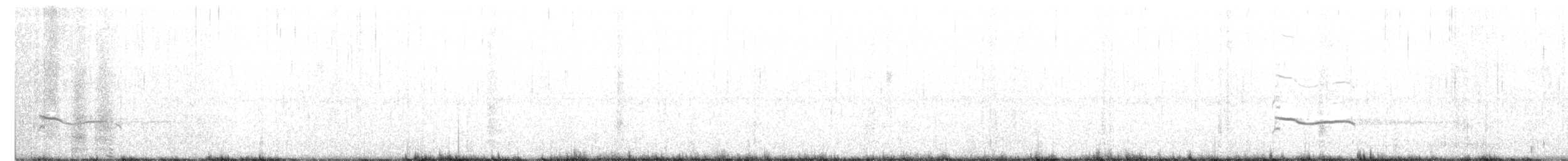 Black-bellied Plover - ML262129751
