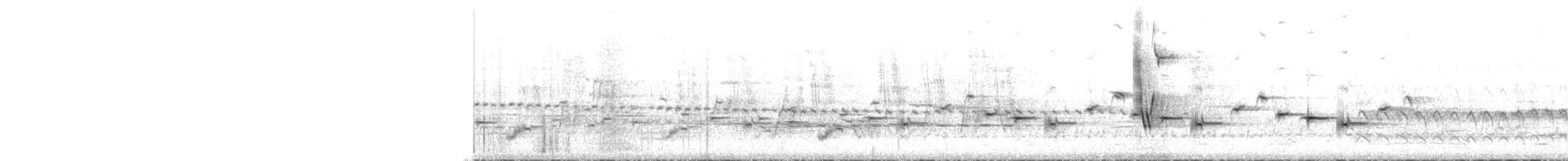 Psophode carillonneur - ML262220231