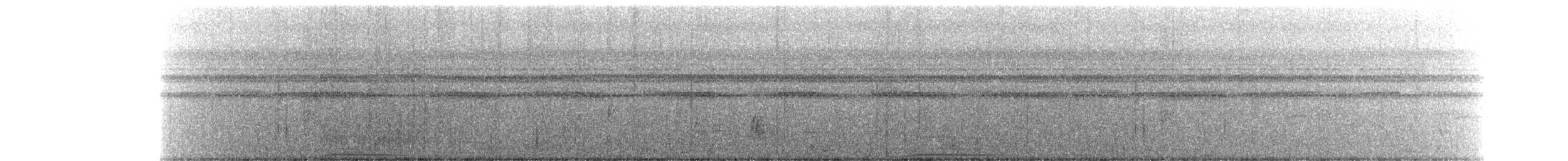 Spotted Buttonquail - ML262259351