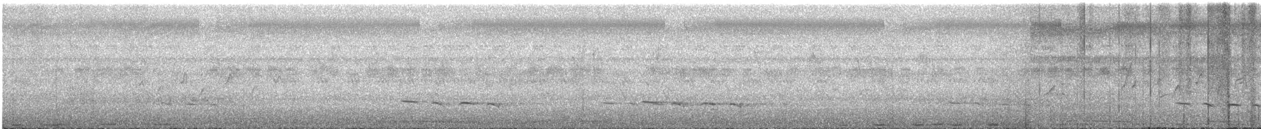 Sonnerat Guguğu - ML262305321
