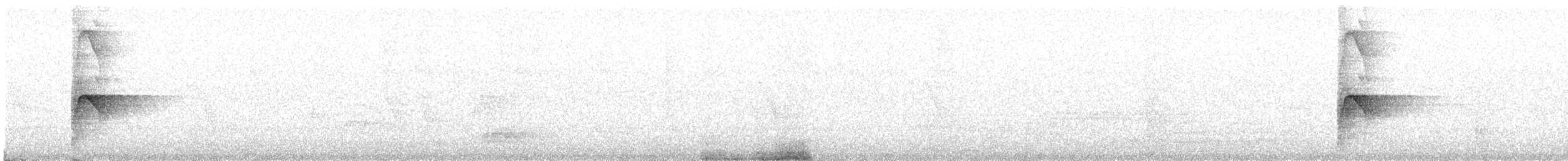 斑文鳥 - ML262329871