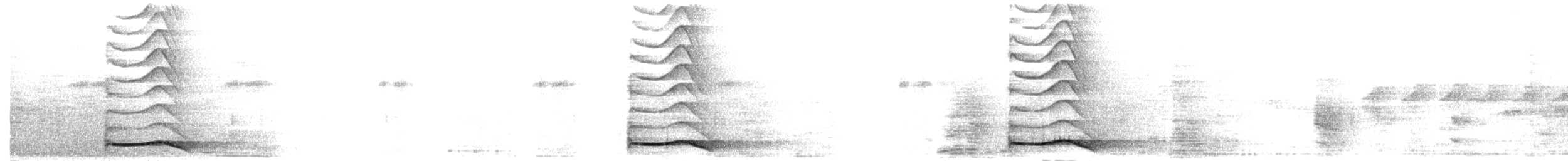 Asian Koel - ML262439131