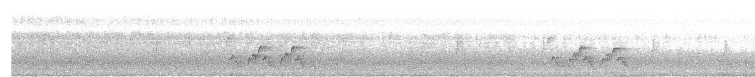 Каролинский крапивник - ML262464431