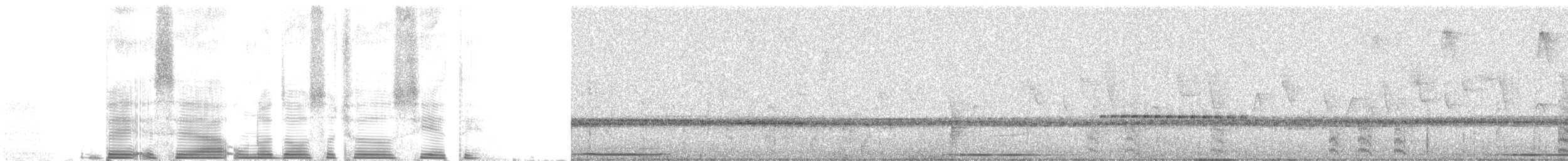 Толстоклювый мечник [группа promeropirhynchus] - ML262623