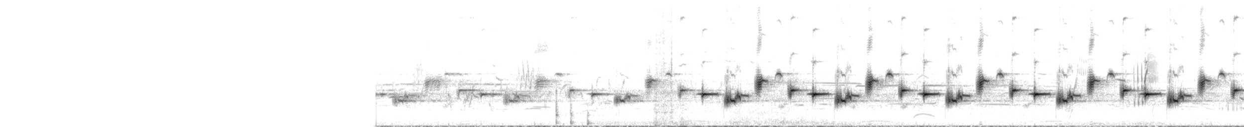 Psophode carillonneur - ML262623971