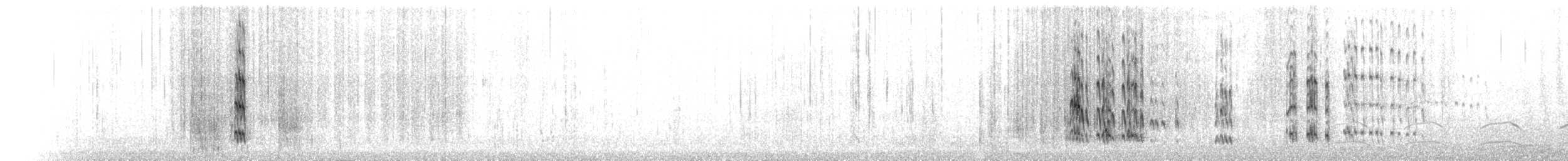 svartsteinvender - ML262658431