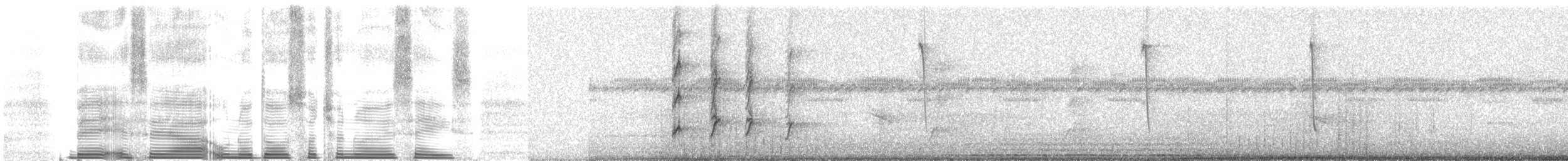 Thraupis sp. - ML262692