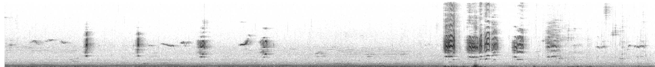 Little Tern - ML262700641