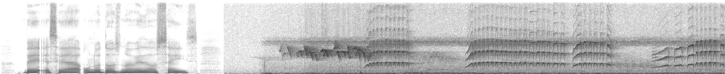 Copetón Apical - ML262722