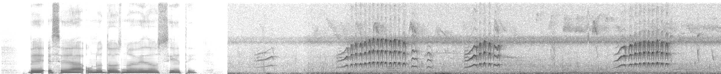 Copetón Apical - ML262723