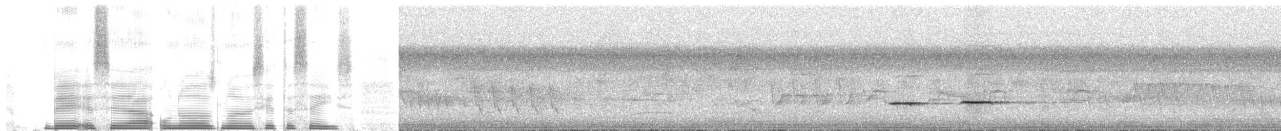 Striped Cuckoo - ML262772