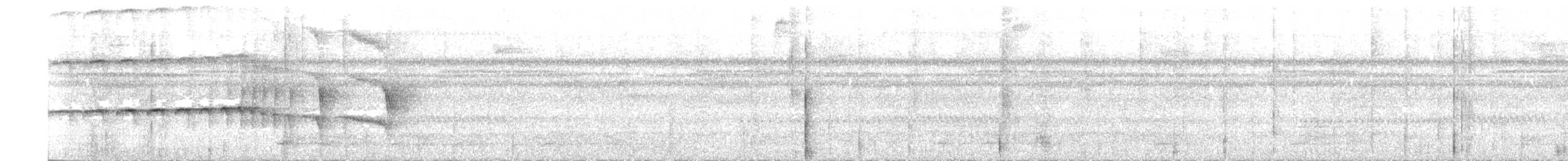 Halsband-Ameisenvogel - ML262802971