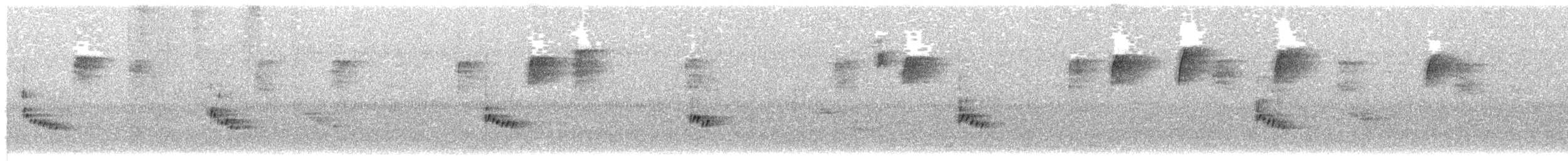 Поплітник каролінський - ML262892961