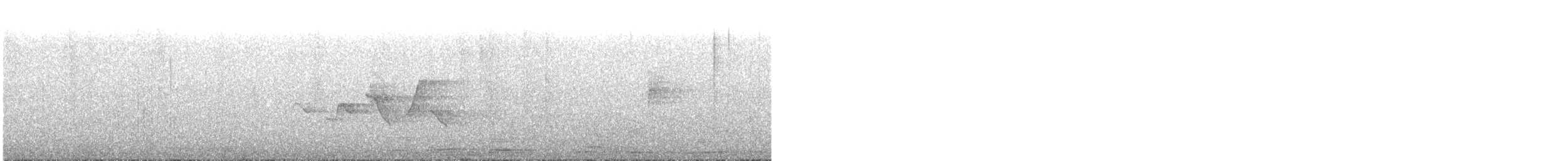 Hooded Warbler - ML262941551