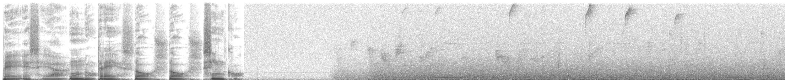 Thraupidae, unbestimmt (tanager sp.) - ML263021