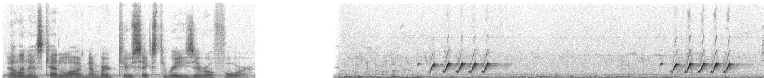 rødpannebuskvarsler - ML26304