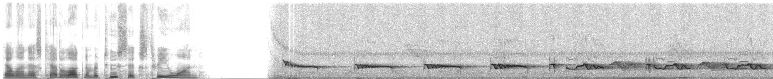 Singing Quail - ML2631