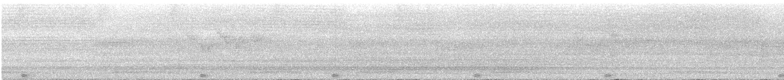 Doppelhornvogel - ML263193501
