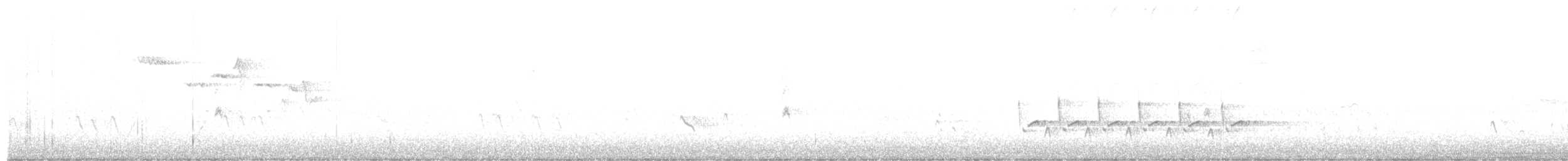 Karolina Çıtkuşu - ML263249121