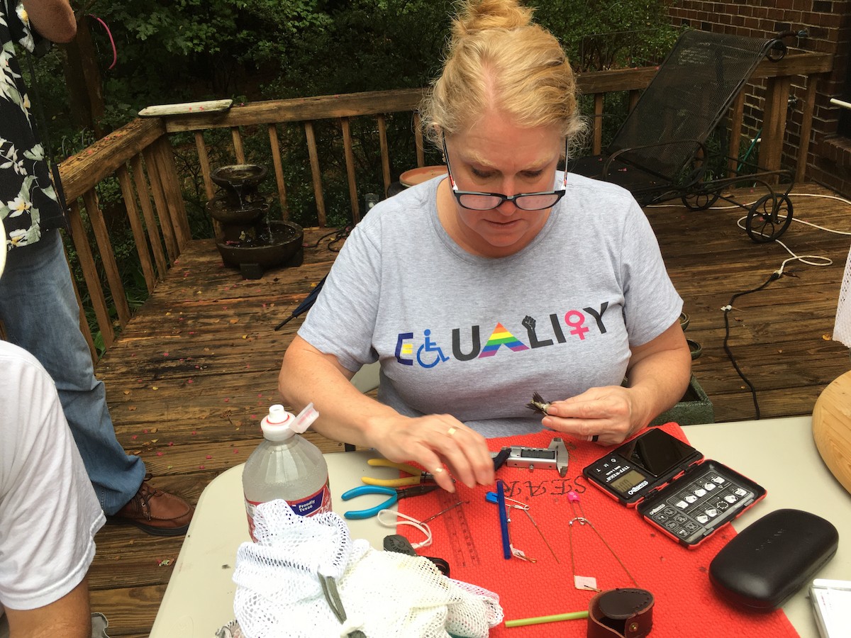 Ruby-throated Hummingbird - ML263314411