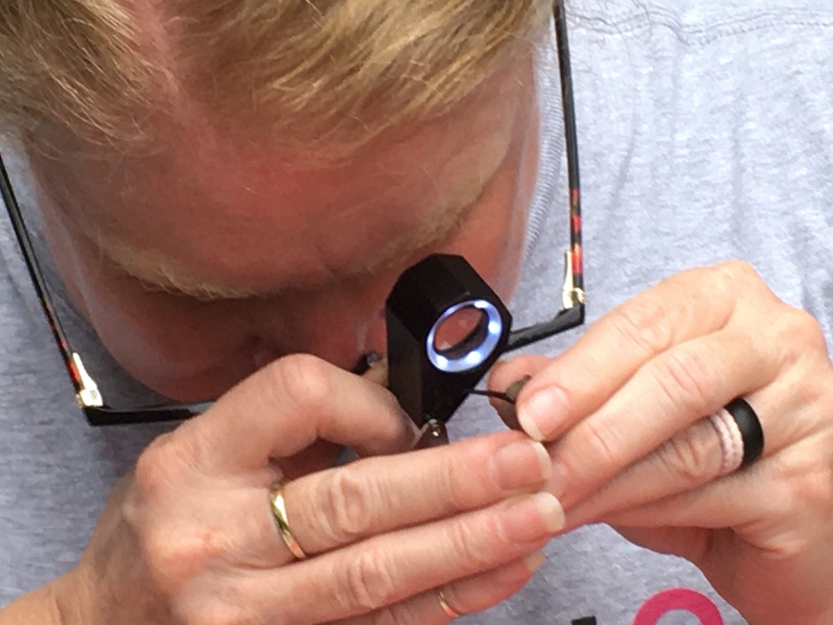 Ruby-throated Hummingbird - ML263316621