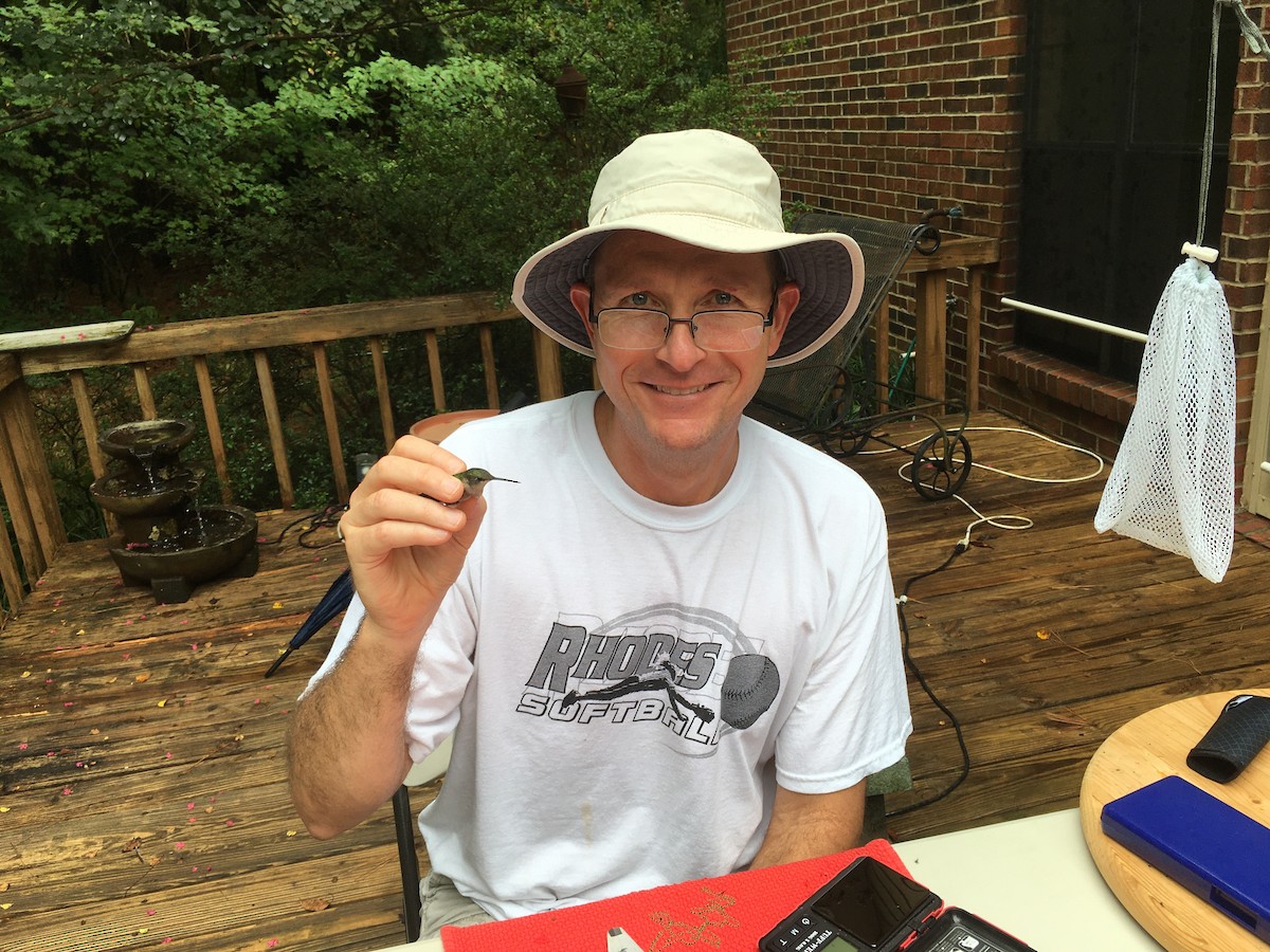 Ruby-throated Hummingbird - ML263317691