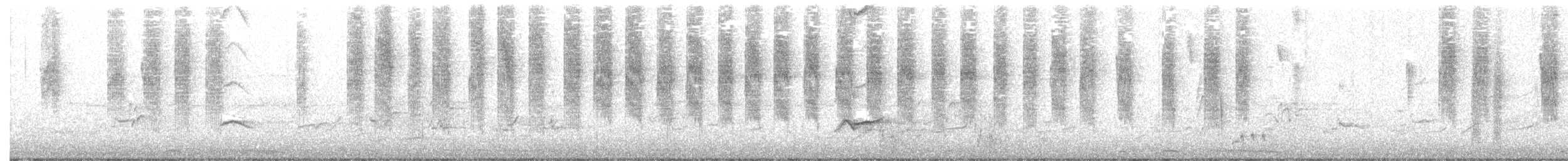 Roststirn-Dornschnabel - ML263333791