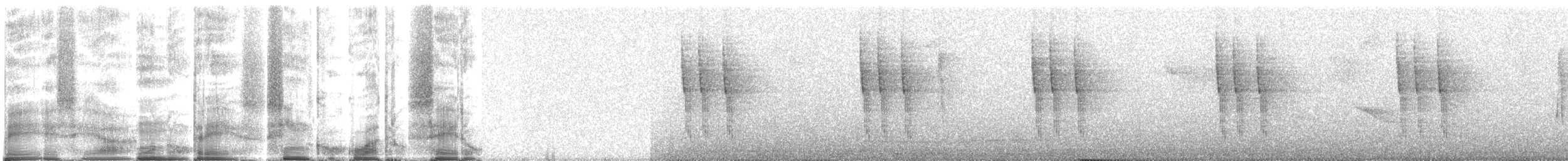 Зелоногрудый фиалкоух (cyanotus/crissalis) - ML263336