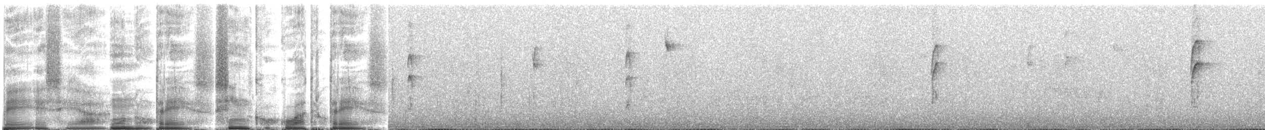 Chlorospin des buissons (groupe flavopectus) - ML263339