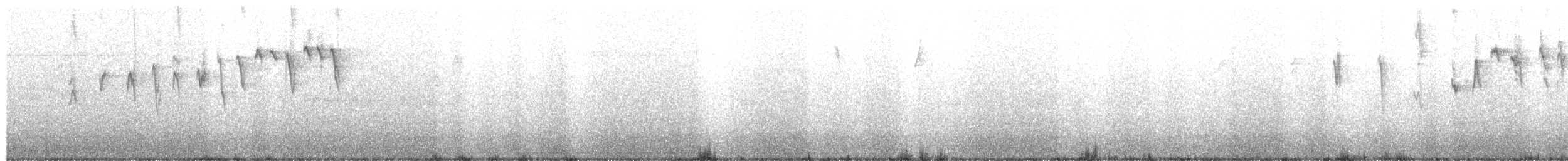 Бор шувууны багын тодорхойгүй зүйл - ML263387041