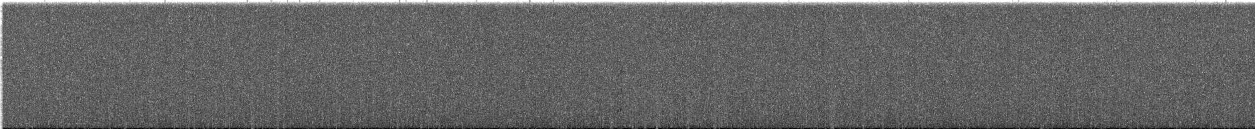 kulík patagonský - ML263508971
