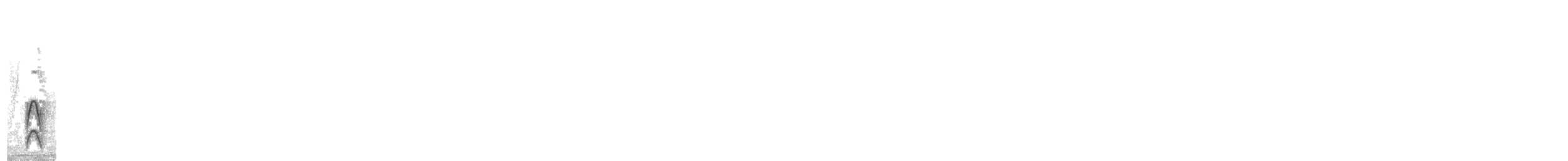Ak Kaşlı Bülbül Tiranı - ML263552371