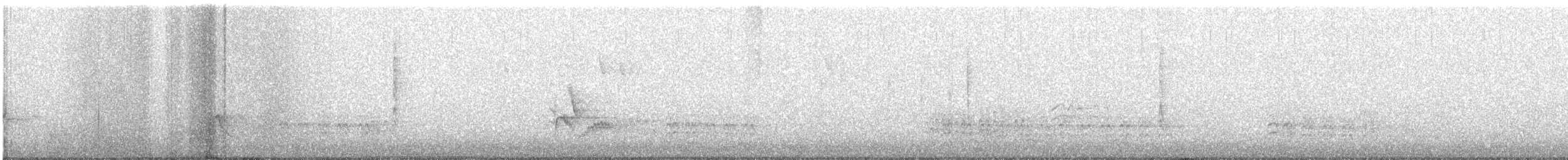 solitary vireo sp. - ML263555531